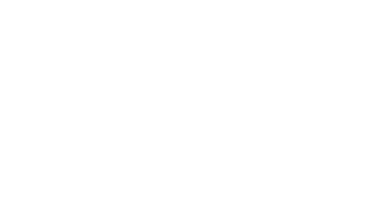 TARIPLUS