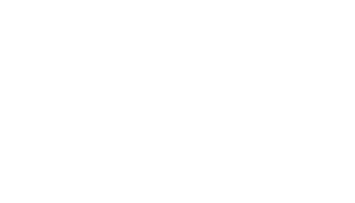 VILLA DE REYES