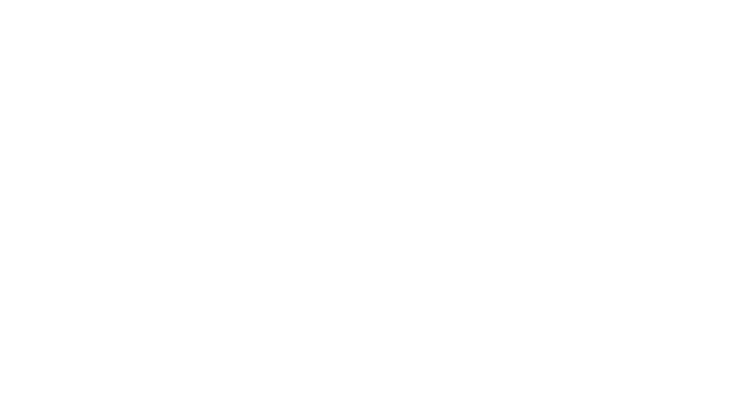 AUTOMOTIVE