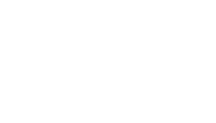 ICARELINK